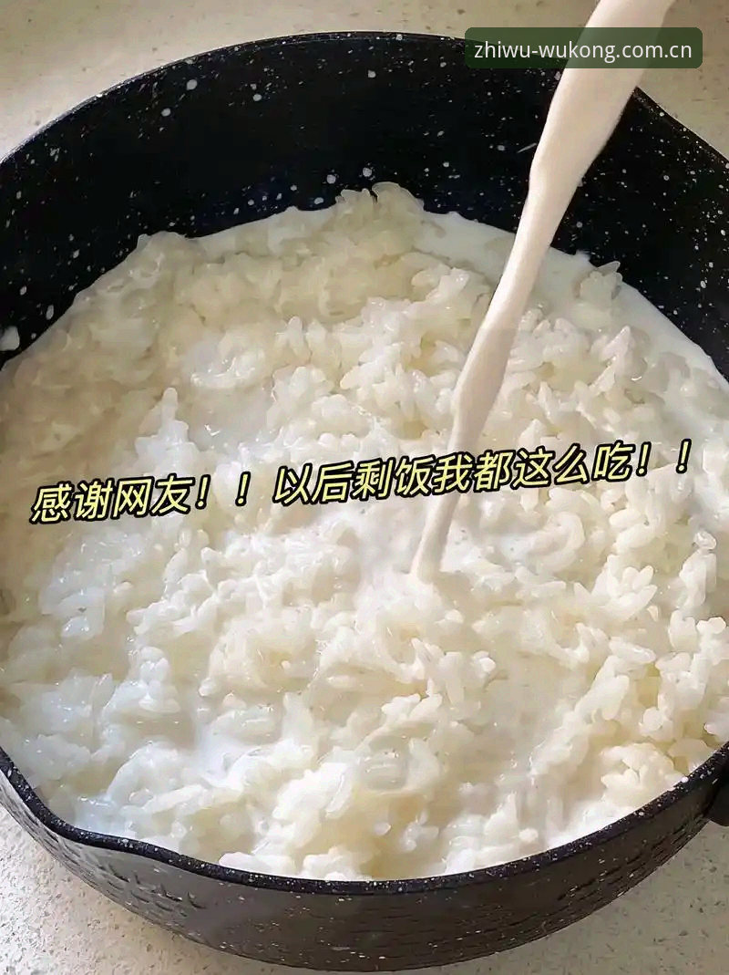 为什么说苹果设备上悟空体育平台登录入口，像打开冰箱拿牛奶一样简单？